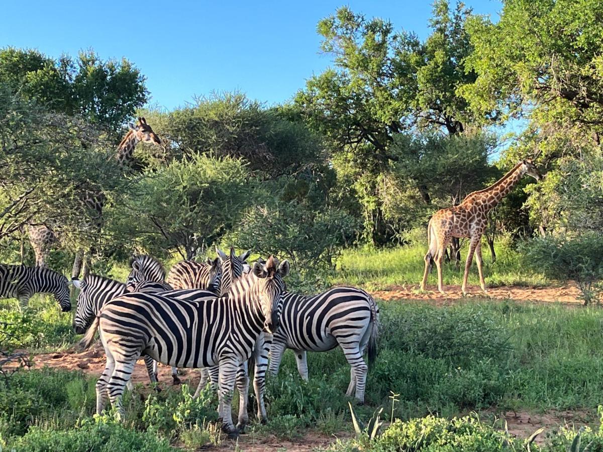 Lindiwe Safari Lodge Hoedspruit Zewnętrze zdjęcie